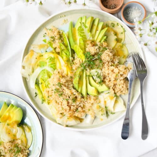 Quinoa auf Römer Salat mit Avocado, Fenchel und Apfel